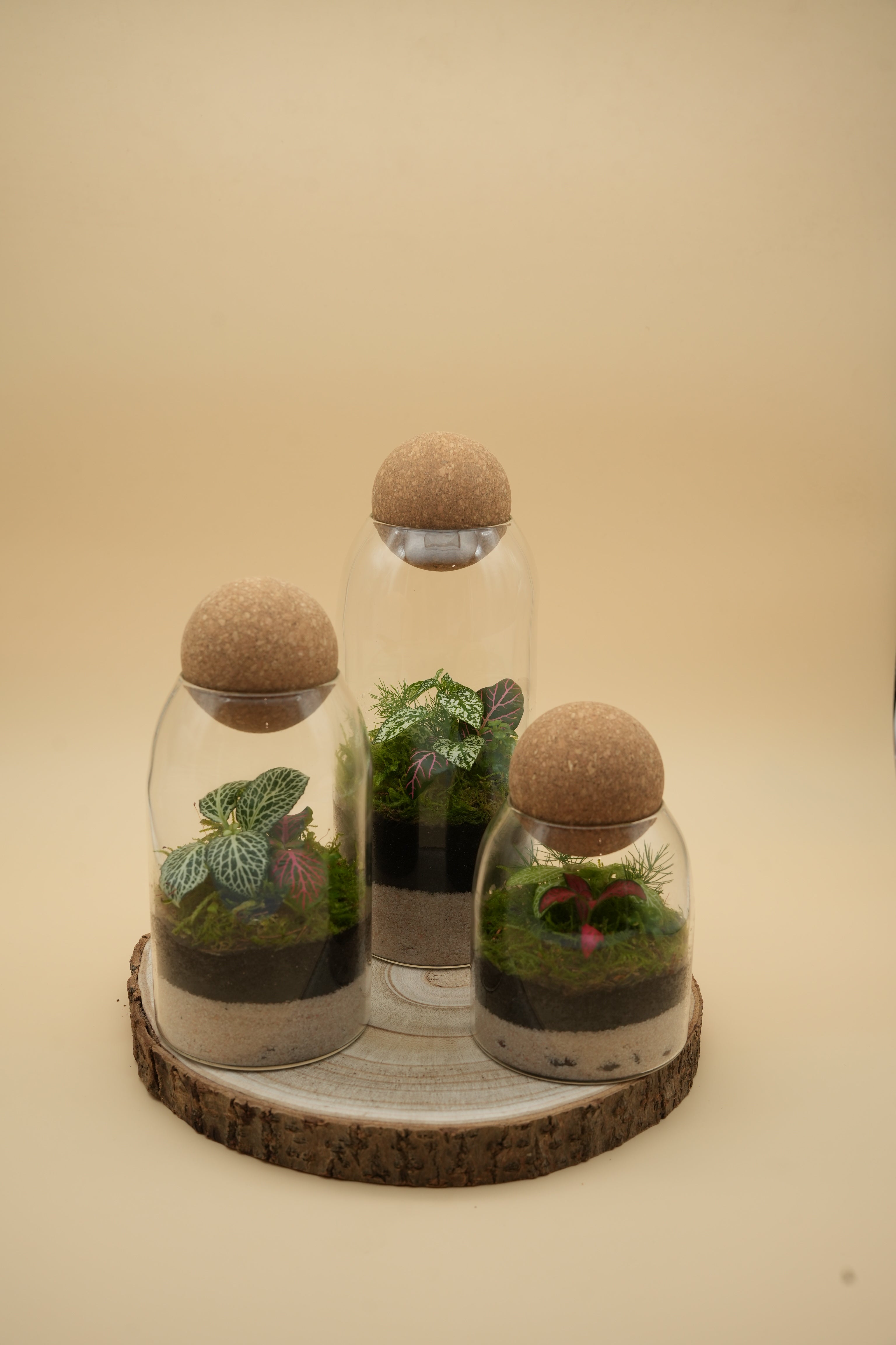 Colección TerraSphere