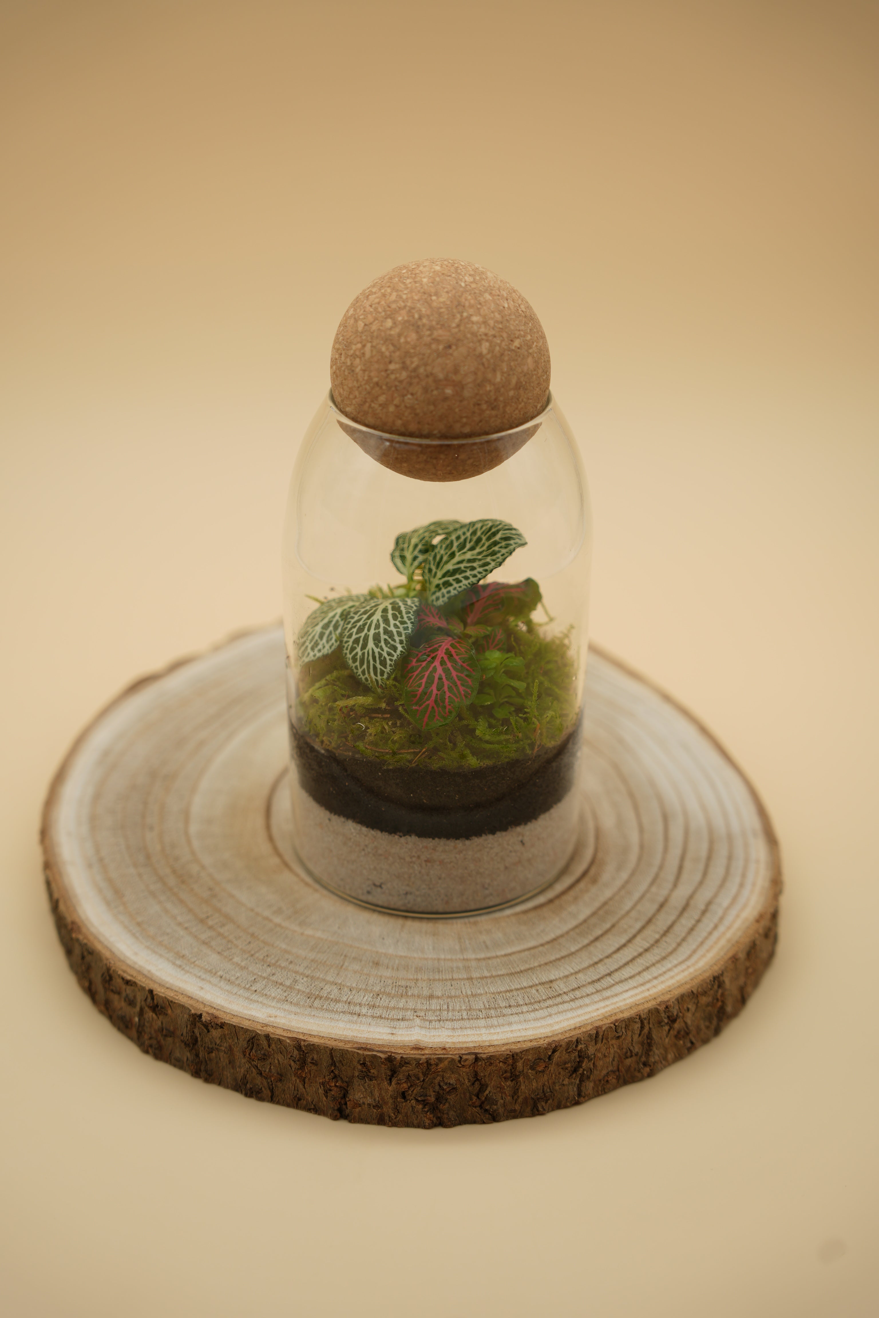 TerraSphere M
