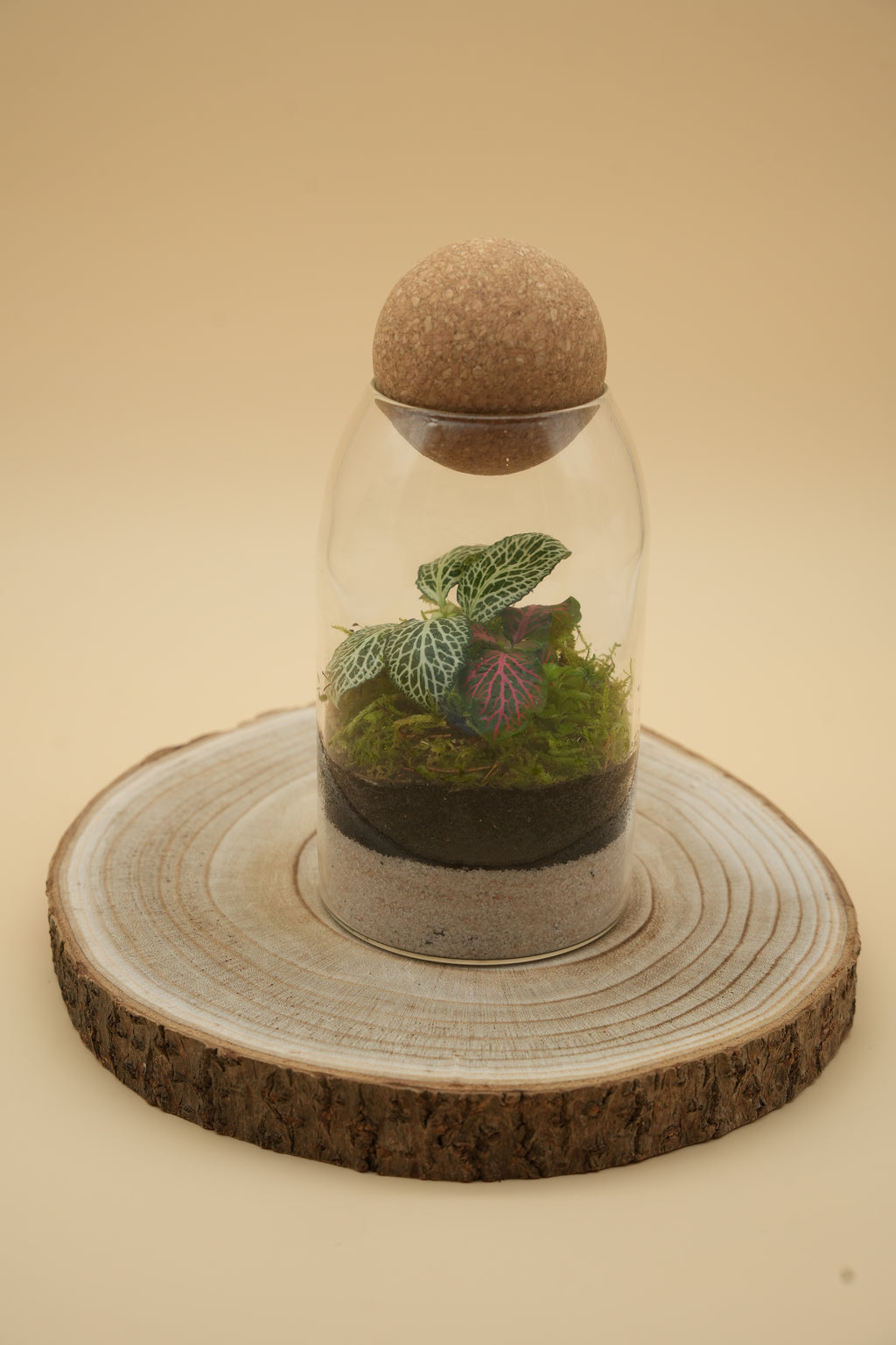 TerraSphere M