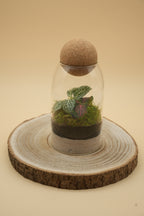 TerraSphere M