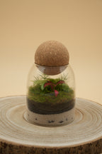 TerraSphere S